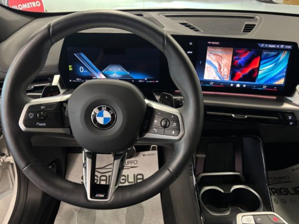 BMW X1 sdrive18d MSport Pro auto (12)