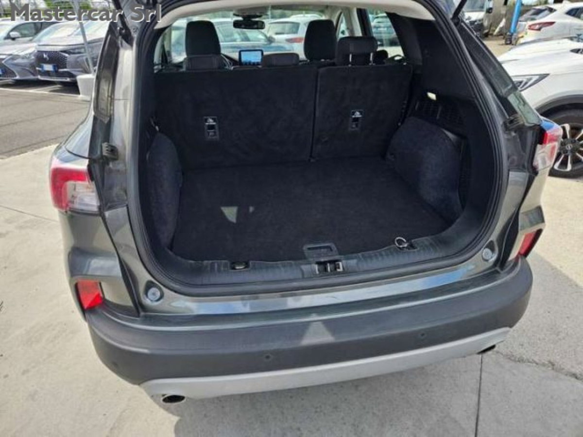 Ford Kuga 2.0 EcoBlue Hybrid 150 CV 2WD Titanium (15)