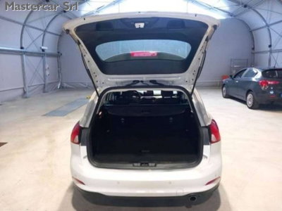 Ford Focus Station Wagon 1.5 EcoBlue 120 CV automatico SW Business (5)