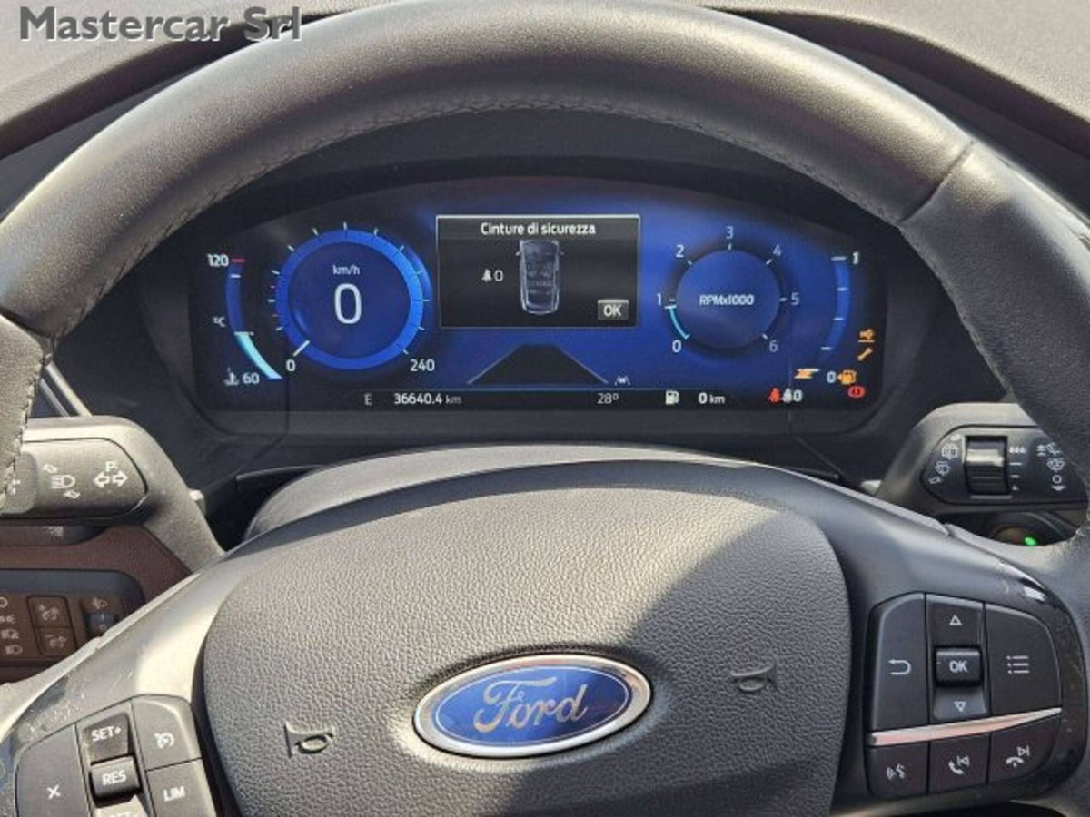 Ford Kuga 2.0 EcoBlue Hybrid 150 CV 2WD Titanium X (12)