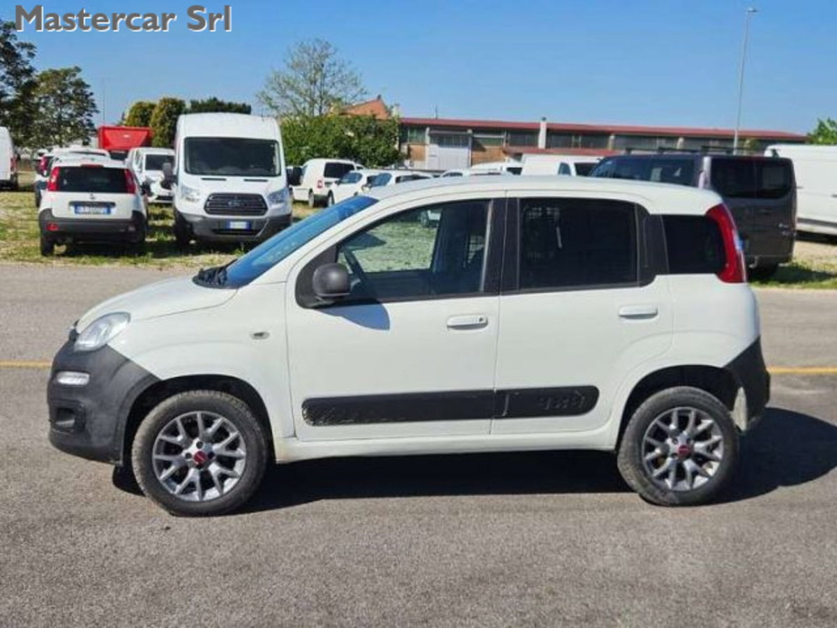 Fiat Panda 1.3 MJT 4x4 Pop Van 2 posti (3)