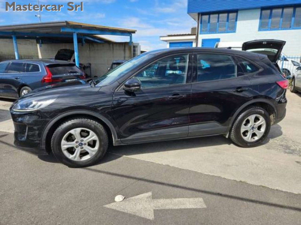 Ford Kuga 1.5 EcoBlue 120 CV 2WD ST-Line (3)