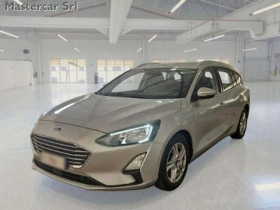 Ford Focus Station Wagon 1.5 EcoBlue 120 CV automatico SW Business Co-Pilot (2)