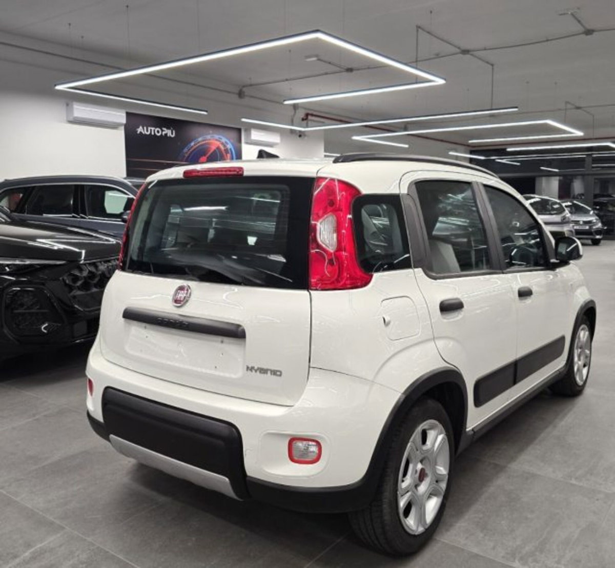 Fiat Panda 1.0 firefly hybrid s&s 70cv 5p.ti (6)