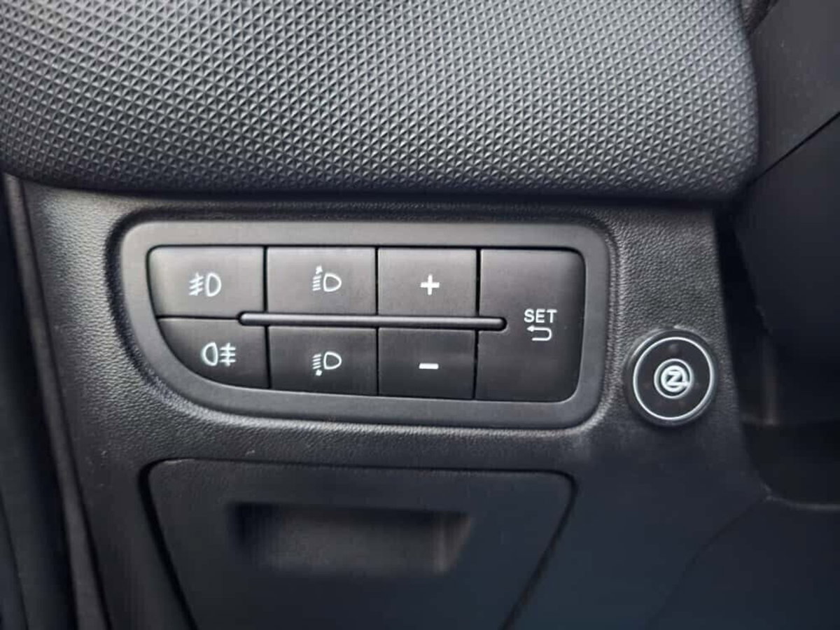 Fiat Punto 1.2 8V 5 porte Lounge (15)