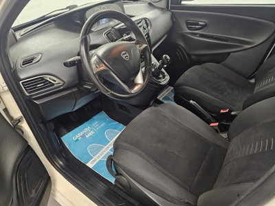 Lancia Ypsilon 1.2 69 CV 5 porte Platinum (11)