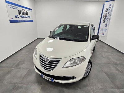 Lancia Ypsilon 1.2 69 CV 5 porte Platinum (2)