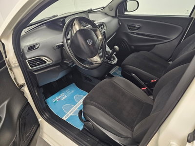 Lancia Ypsilon 1.2 69 CV 5 porte Platinum (10)