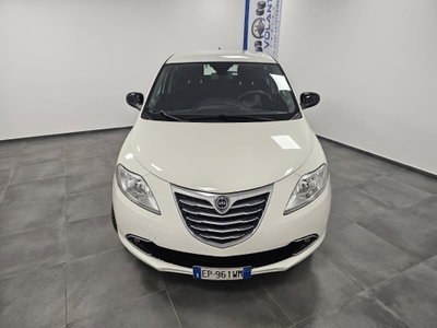 Lancia Ypsilon 1.2 69 CV 5 porte Platinum (15)