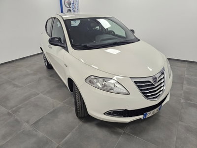 Lancia Ypsilon 1.2 69 CV 5 porte Platinum (3)
