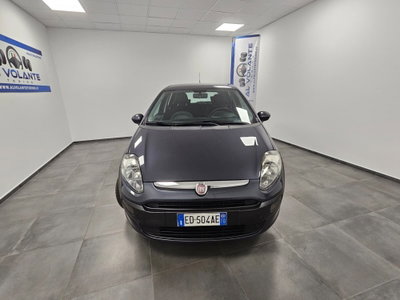 Fiat Punto Evo 1.4 5 porte Dynamic GPL (15)
