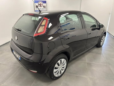 Fiat Punto Evo 1.4 5 porte S&S MyLife (12)