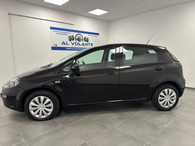 Fiat Punto Evo 1.4 5 porte S&S MyLife (5)