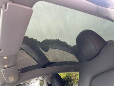 Tesla Model Y Performance Dual Motor awd (9)
