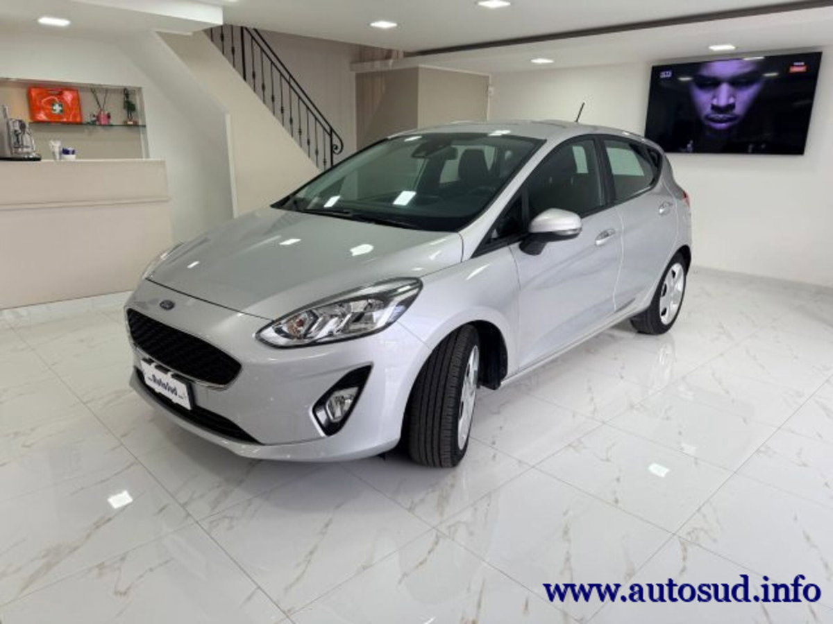 Ford Fiesta 1.5 EcoBlue 5 porte Business High (3)