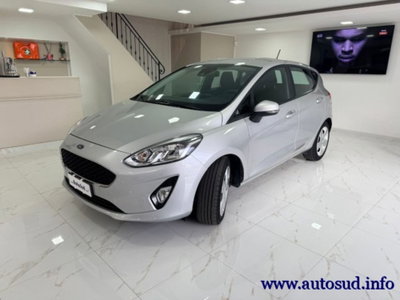 Ford Fiesta 1.5 EcoBlue 5 porte Business High (3)