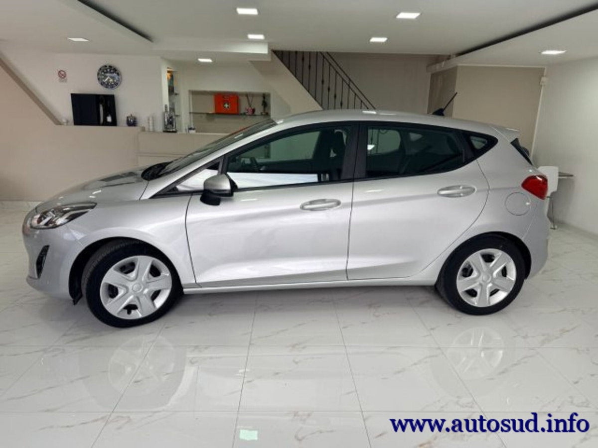 Ford Fiesta 1.5 EcoBlue 5 porte Business High (4)