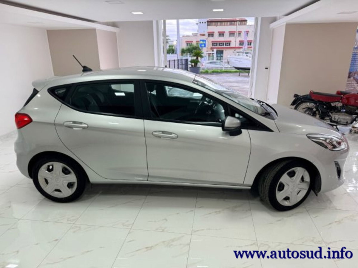 Ford Fiesta 1.5 EcoBlue 5 porte Business High (7)