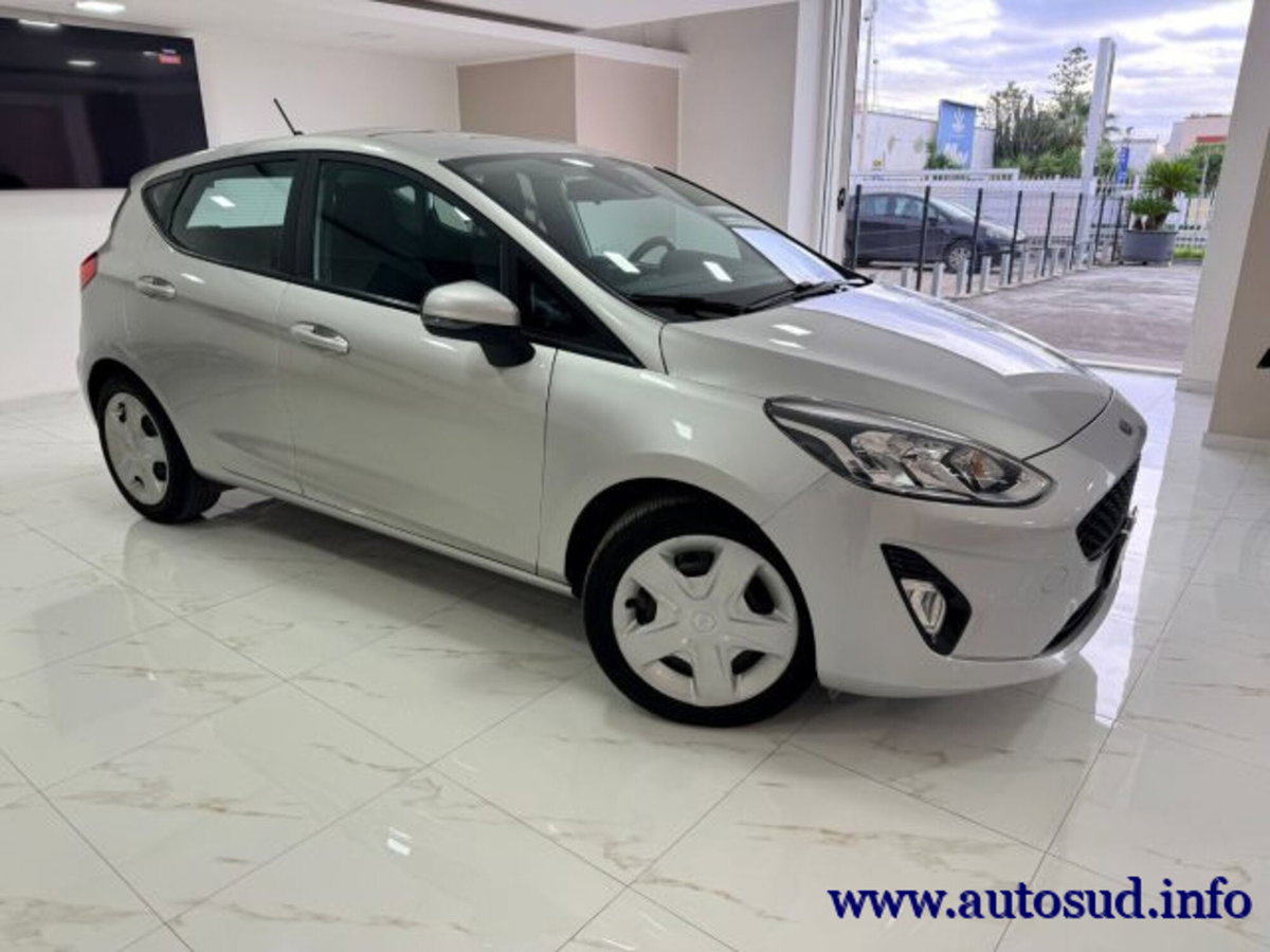 Ford Fiesta 1.5 EcoBlue 5 porte Business High (8)