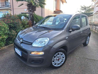 Fiat Panda 1.0 firefly hybrid s&s 70cv 5p.ti (11)