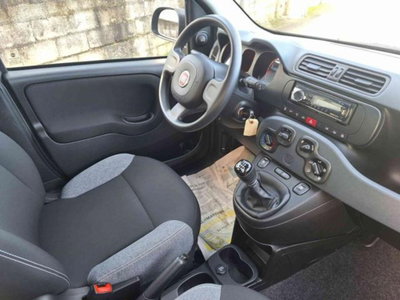 Fiat Panda 1.0 firefly hybrid s&s 70cv 5p.ti (14)