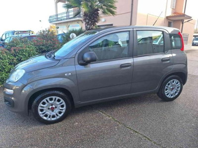 Fiat Panda 1.0 firefly hybrid s&s 70cv 5p.ti (19)