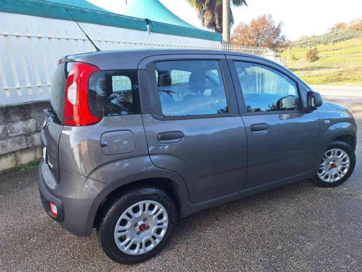 Fiat Panda 1.0 firefly hybrid s&s 70cv 5p.ti (4)