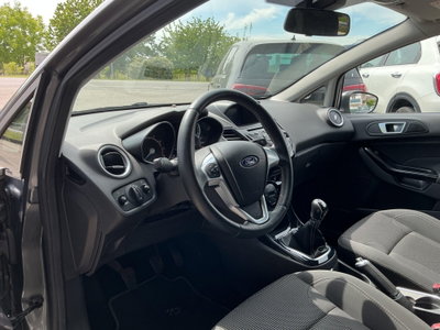 Ford Fiesta 1.4 5 porte Bz.- GPL Black & White Edition (8)
