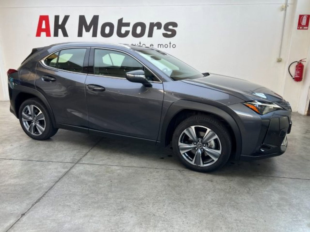 Lexus UX 300e 72,8kWh Luxury (11)