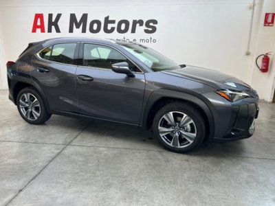 Lexus UX 300e 72,8kWh Luxury (11)