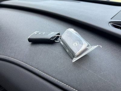 Lexus UX 300e 72,8kWh Luxury (15)