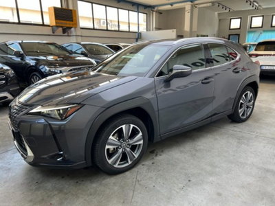Lexus UX 300e 72,8kWh Luxury (16)
