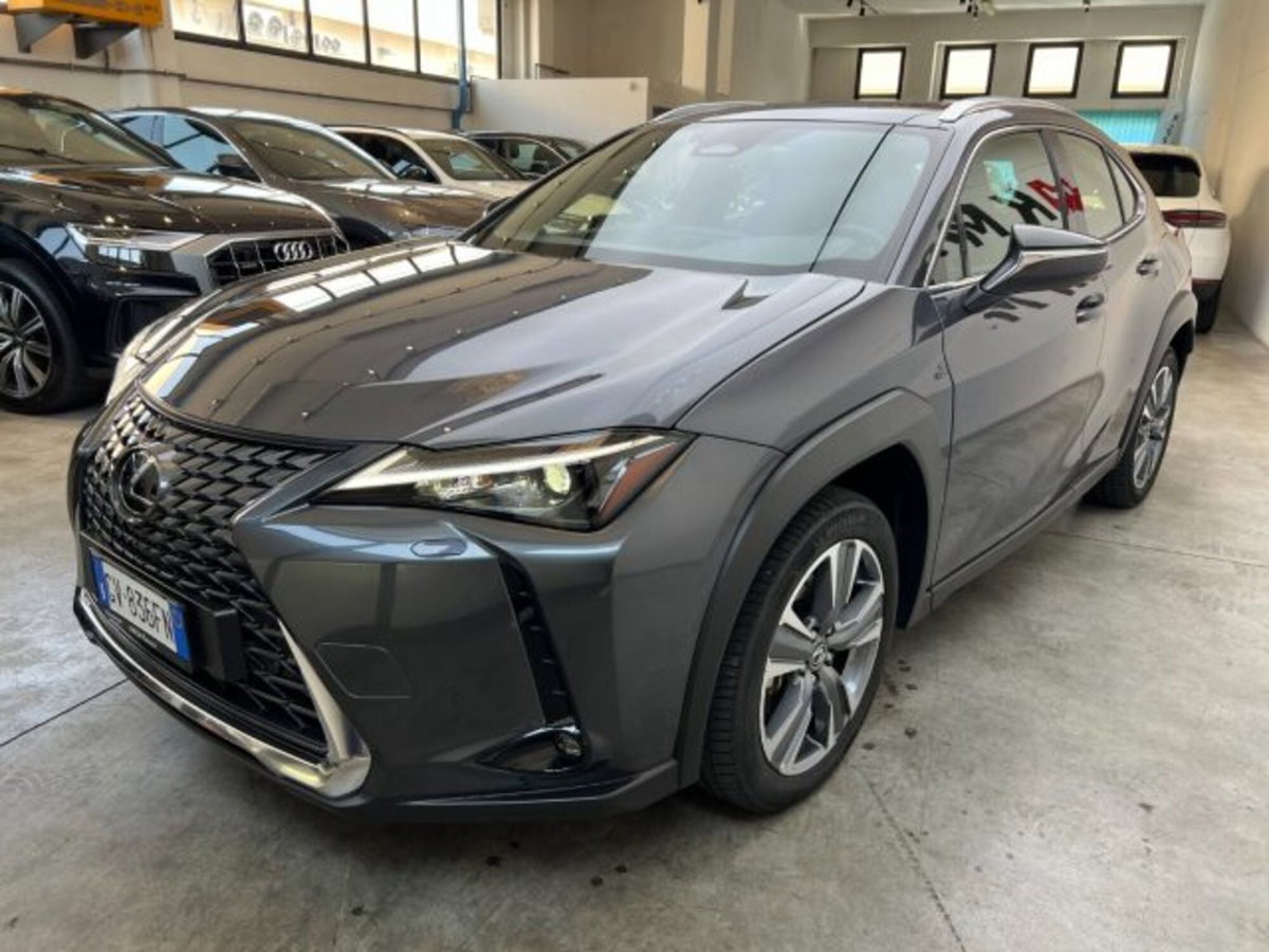 Lexus UX 300e 72,8kWh Luxury (3)