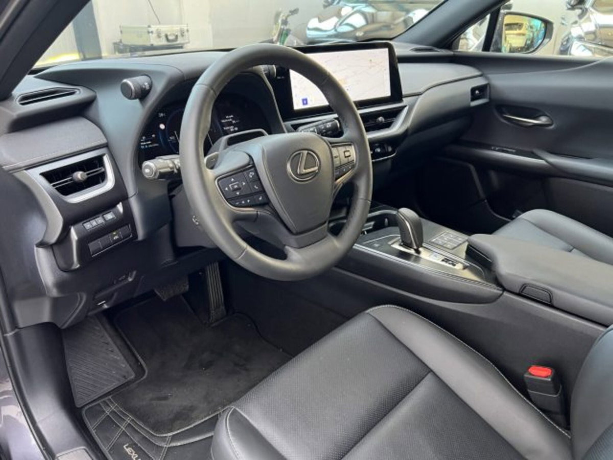 Lexus UX 300e 72,8kWh Luxury (5)