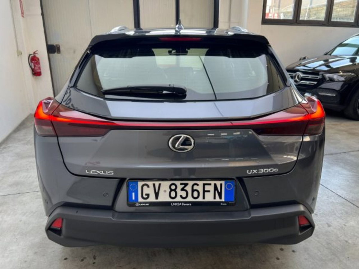 Lexus UX 300e 72,8kWh Luxury (9)
