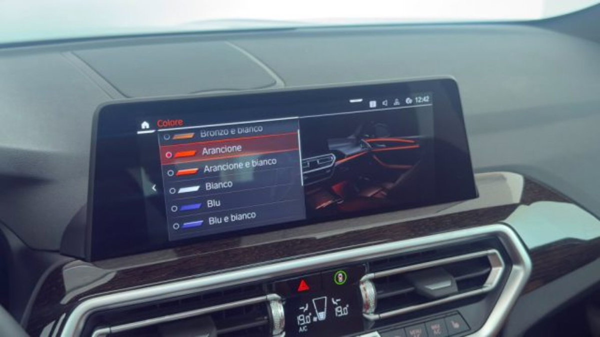 BMW X4 xDrive20d 48V Msport (15)