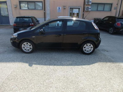 Fiat Punto 1.3 MJT II S&S 85 CV 5 porte ECO Lounge (4)
