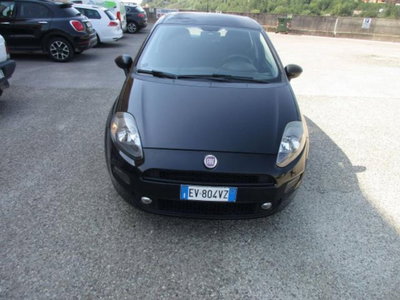 Fiat Punto 1.3 MJT II S&S 85 CV 5 porte ECO Lounge (5)