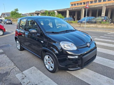 Fiat Panda 1.0 firefly hybrid s&s 70cv 5p.ti usata