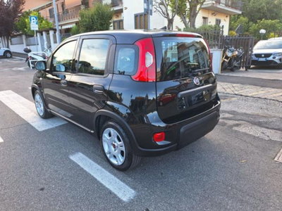 Fiat Panda 1.0 firefly hybrid s&s 70cv 5p.ti (4)