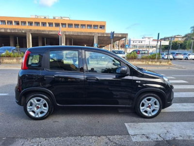 Fiat Panda 1.0 firefly hybrid s&s 70cv 5p.ti (7)