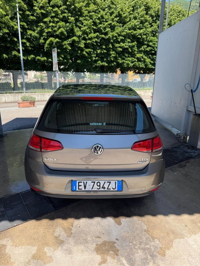 Volkswagen Golf 1.6 TDI 90 CV 5p. Trendline BlueMotion Technology (3)