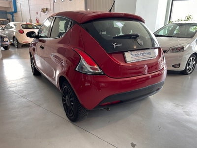 Lancia Ypsilon 1.2 69 CV 5 porte S&S Elefantino Blu (19)