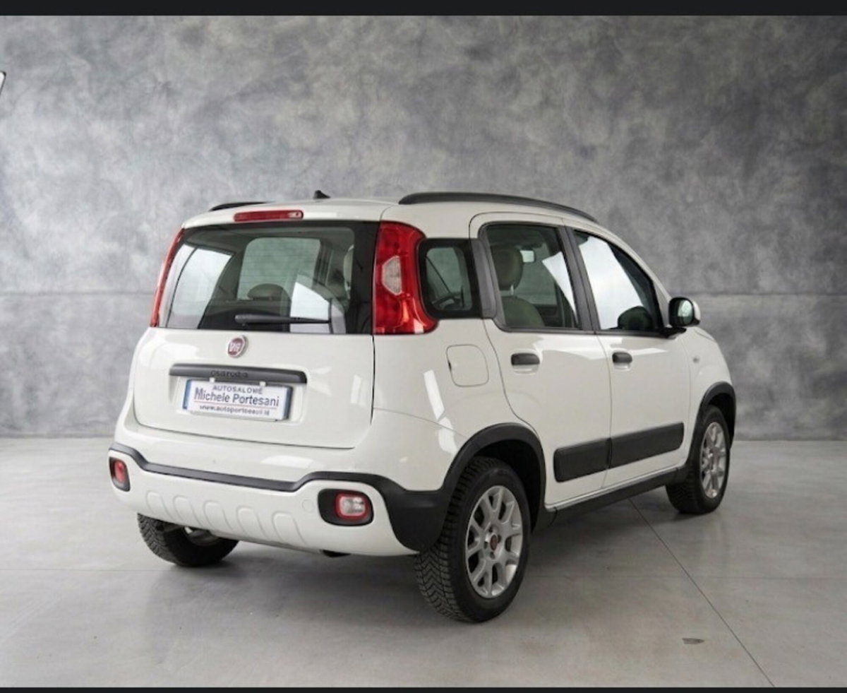 Fiat Panda 0.9 TwinAir Turbo S&S 4x4 Wild (3)