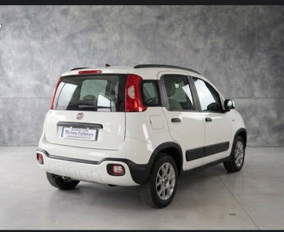 Fiat Panda 0.9 TwinAir Turbo S&S 4x4 Wild (3)