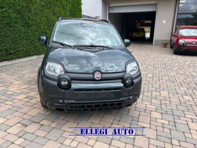 Fiat Pandina van 1.0 Hybrid 65cv S&S Pop (3)