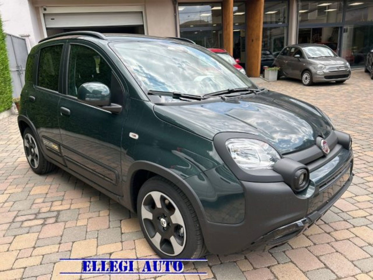 Fiat Pandina van 1.0 Hybrid 65cv S&S Pop (4)