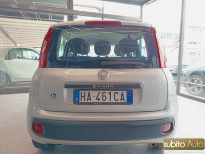 Fiat Panda 1.2 Lounge (7)