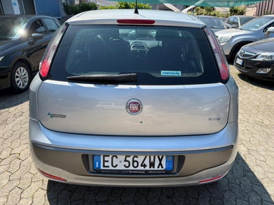 Fiat Punto Evo 1.4 5 porte Dynamic Natural Power (5)