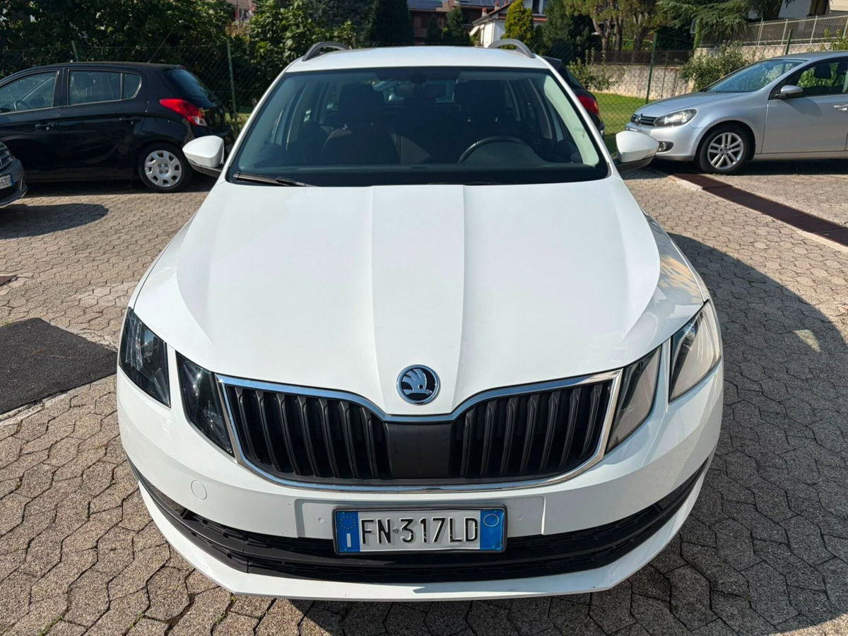 Skoda Octavia Station Wagon 1.6 TDI CR 115 CV Wagon Executive (2)